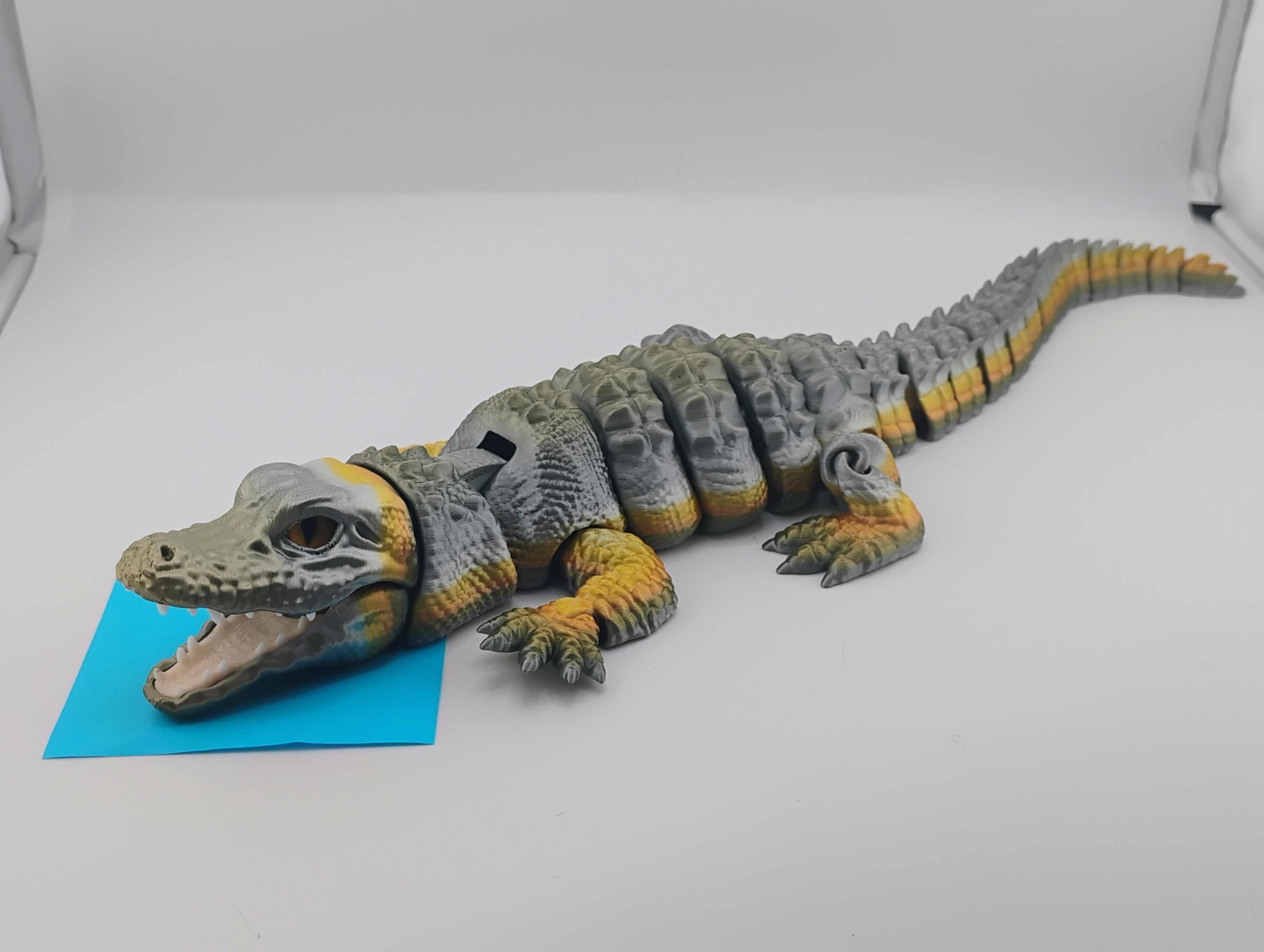 Placeholder Item 7